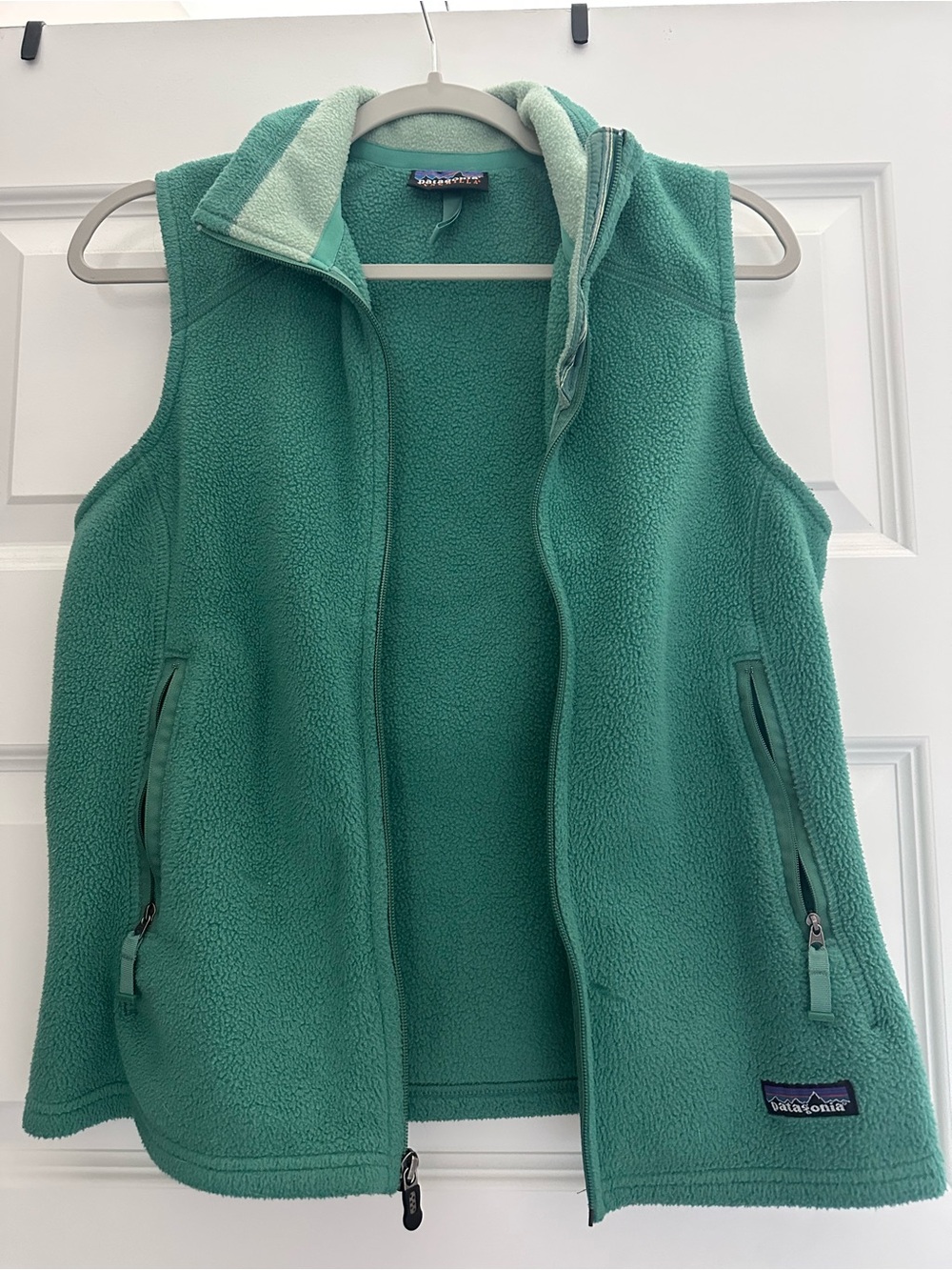 Patagonia Teal Green Fleece Jacket